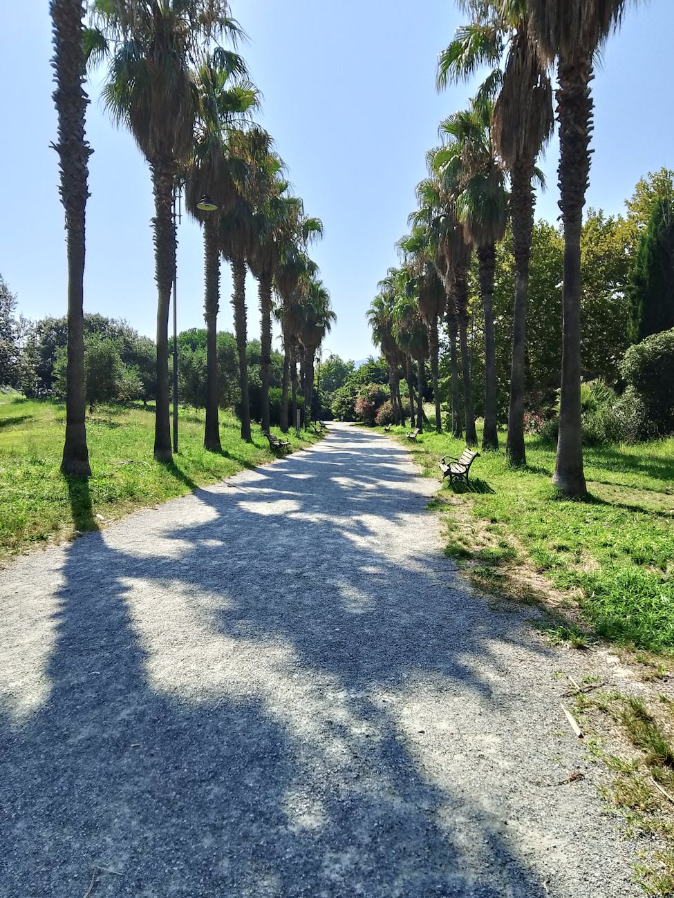 Parco di Monte Claro, manifestazione di interesse per un'area destinata alla somministrazione di alimenti