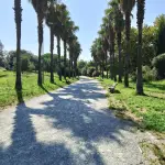 Parco di Monte Claro, manifestazione di interesse per un'area destinata alla somministrazione di alimenti