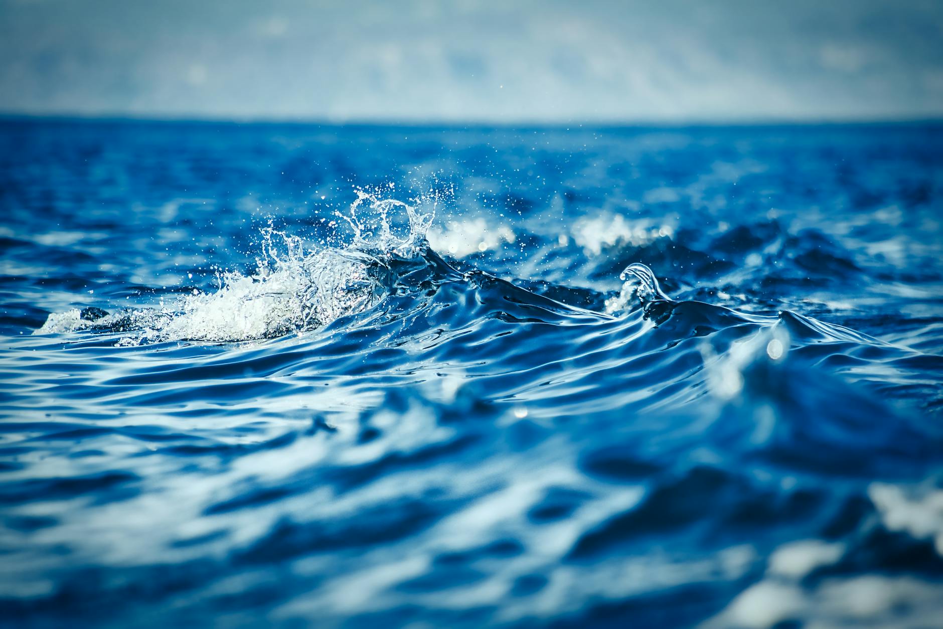 Blue Hub, bando per startup della blue economy aperto fino al 30 giugno