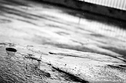 Piogge persistenti in Sardegna: agricoltura in ginocchio e rischio restituzione fondi UE