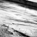 Piogge persistenti in Sardegna: agricoltura in ginocchio e rischio restituzione fondi UE