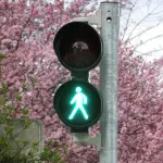 Cagliari, riapre l’ingresso di viale Cimitero al Monumentale di Bonaria